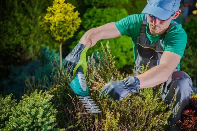 landscaping services Bliss